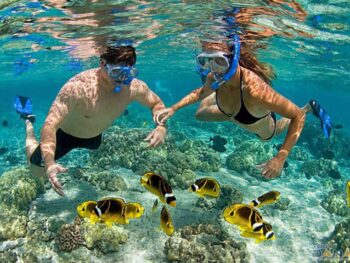 TOUR ĐÀ NẴNG - CÙ LAO CHÀM 01 NGÀY